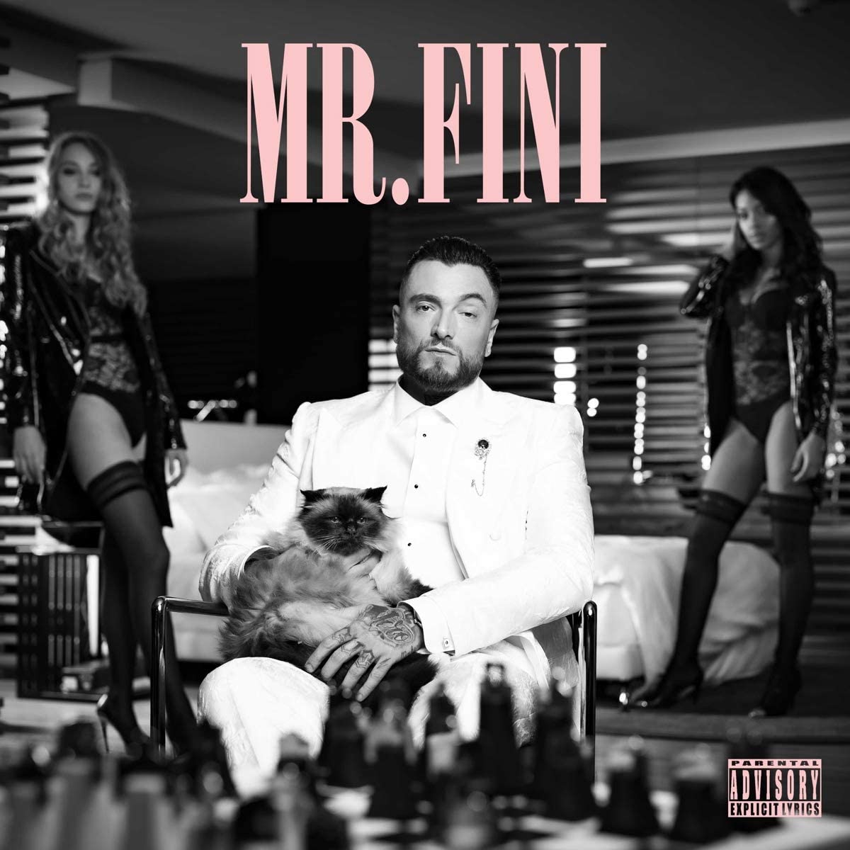 Mr Fini